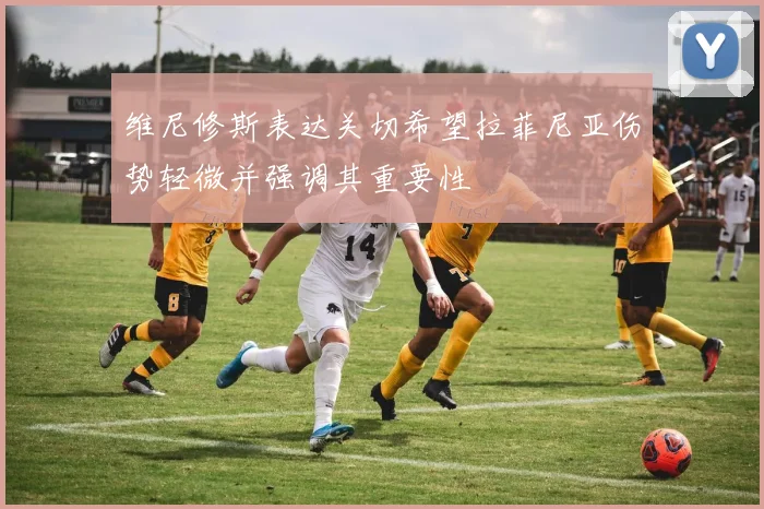 维尼修斯表达关切希望拉菲尼亚伤势轻微并强调其重要性