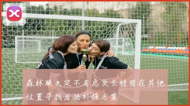森林狼决定不考虑莫兰特将在其他位置寻找后场补强方案